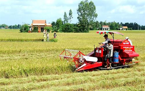 Thu hoạch lúa bằng máy trên cánh đồng lớn tại ấp Gò Gòn, xã Hưng Thạnh, huyện Tân Hưng (Long An). Ảnh: nhandan.com.vn Thu hoạch lúa bằng máy trên cánh đồng lớn tại ấp Gò Gòn, xã Hưng Thạnh, huyện Tân Hưng (Long An). Ảnh: nhandan.com.vn