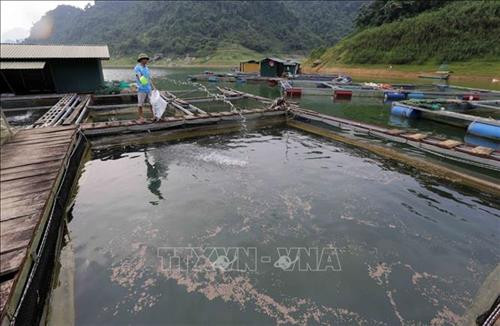 Gia đình anh Phùng Xuân Sơn, xã Xuân Phú, huyện Na Hang vay vốn Agribank Tuyên Quang đầu tư nuôi cá lồng trên hồ thủy điện Na Hang, mỗi năm thu hàng trăm triệu đồng. Ảnh: Trần Việt – TTXVN Gia đình anh Phùng Xuân Sơn, xã Xuân Phú, huyện Na Hang vay vốn Agribank Tuyên Quang đầu tư nuôi cá lồng trên hồ thủy điện Na Hang, mỗi năm thu hàng trăm triệu đồng. Ảnh: Trần Việt – TTXVN
