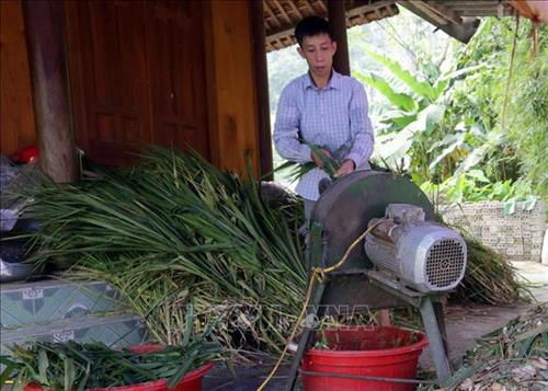 Nhờ 400 triệu đồng từ nguồn vốn ưu đãi ủy thác của địa phương, gia đình anh Đặng Văn Là ở thôn Nà Cọn, xã Thổ Bình, huyện Lâm Bình có điều kiện mở rộng quy mô chuồng trại vỗ béo trâu, bò. Sau khi vỗ béo từ 2 đến 3 tháng, thu lãi hàng triệu đồng mỗi con. Ảnh: Trần Việt – TTXVN Nhờ 400 triệu đồng từ nguồn vốn ưu đãi ủy thác của địa phương, gia đình anh Đặng Văn Là ở thôn Nà Cọn, xã Thổ Bình, huyện Lâm Bình có điều kiện mở rộng quy mô chuồng trại vỗ béo trâu, bò. Sau khi vỗ béo từ 2 đến 3 tháng, thu lãi hàng triệu đồng mỗi con. Ảnh: Trần Việt – TTXVN