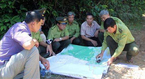 Cán bộ Kiểm lâm và phóng viên các cơ quan báo chí xác định tọa độ vị trí rừng tiểu khu 310 và 311. Ảnh: Xuân Triệu - TTXVN Cán bộ Kiểm lâm và phóng viên các cơ quan báo chí xác định tọa độ vị trí rừng tiểu khu 310 và 311. Ảnh: Xuân Triệu - TTXVN