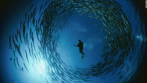 Bảo vệ đại dương để bảo vệ bầu khí quyển ảnh 1