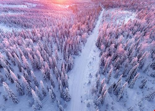 Có khoảng 400.000 người đến thăm quan tại ngôi làng của ông già tuyết Santa Claus ở Rovaniemi, Lapland mỗi năm. Theo truyền thuyết, ông già Noel đầu tiên sống trên núi Korvatunturi, cao 483 m nằm ở phía đông Lapland. Người dân nơi đây truyền tai nhau vì dãy núi mang hình dáng của cái tai nên ông già Noel có thể lắng nghe được mọi mong ước của trẻ em trên khắp thế giới. Chưa trang trí Noel, những ngôi nhà ở khu làng vẫn tuyệt đẹp nhờ Tuyết phủ trắng xóa quanh nhà. Khu làng ở trên cao như trong truyện cổ tích. Những ánh nắng hiếm hoi của vùng đất phủ đầy Tuyết trắng. Những chú tuần lộc nằm giữa đường thưởng thức tuyết. Tuần lộc được nuôi khá nhiều nơi đây. Về đêm, quê hương của ông già Noel cũng đượm một màu tuyệt đẹp của xứ sở thần tiên. Tuyết phủ trắng cảnh vật nơi đây Có khoảng 400.000 người đến thăm quan tại ngôi làng của ông già tuyết Santa Claus ở Rovaniemi, Lapland mỗi năm. Theo truyền thuyết, ông già Noel đầu tiên sống trên núi Korvatunturi, cao 483 m nằm ở phía đông Lapland. Người dân nơi đây truyền tai nhau vì dãy núi mang hình dáng của cái tai nên ông già Noel có thể lắng nghe được mọi mong ước của trẻ em trên khắp thế giới. Chưa trang trí Noel, những ngôi nhà ở khu làng vẫn tuyệt đẹp nhờ Tuyết phủ trắng xóa quanh nhà. Khu làng ở trên cao như trong truyện cổ tích. Những ánh nắng hiếm hoi của vùng đất phủ đầy Tuyết trắng. Những chú tuần lộc nằm giữa đường thưởng thức tuyết. Tuần lộc được nuôi khá nhiều nơi đây. Về đêm, quê hương của ông già Noel cũng đượm một màu tuyệt đẹp của xứ sở thần tiên. Tuyết phủ trắng cảnh vật nơi đây