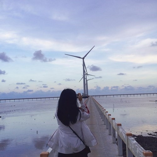 Đến Bạc Liêu ngắm “cánh đồng quạt gió” đẹp như trời Tây ảnh 4