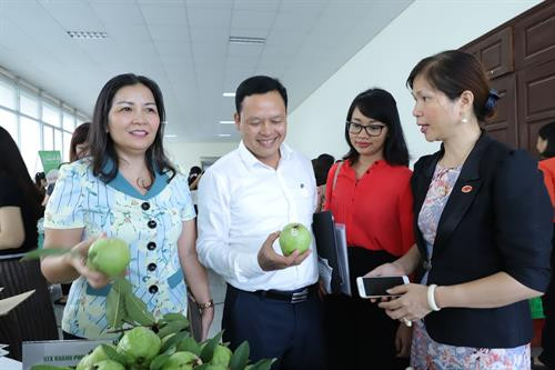 Giới thiệu nông sản an toàn bên lề Hội thảo.