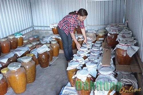 Chị H’Mai ở bon Tinh Wel Đơm, xã Đắk Nia ủ hàng trăm ché rượu cần để bán trong dịp tết Chị H’Mai ở bon Tinh Wel Đơm, xã Đắk Nia ủ hàng trăm ché rượu cần để bán trong dịp tết