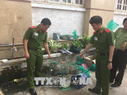 Bắt giữ động vật hoang dã tại tỉnh Bình Dương bắt giữ. Ảnh : Nguyễn Văn Việt -TTXVN Bắt giữ động vật hoang dã tại tỉnh Bình Dương bắt giữ. Ảnh : Nguyễn Văn Việt -TTXVN