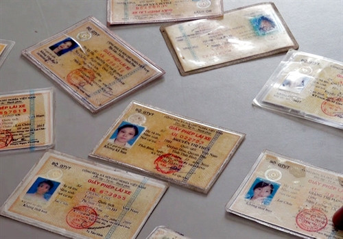 Giấy phép lái xe giả do cơ quan chức năng tỉnh Lai Châu phát hiện. Ảnh: Công Hải- TTXVN Giấy phép lái xe giả do cơ quan chức năng tỉnh Lai Châu phát hiện. Ảnh: Công Hải- TTXVN