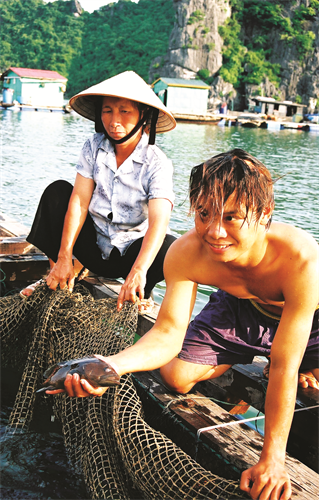 Ngư dân đánh bắt cá