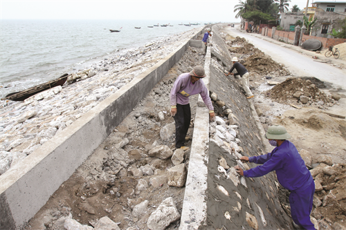 Xây dựng đê ở đảo Ngọc