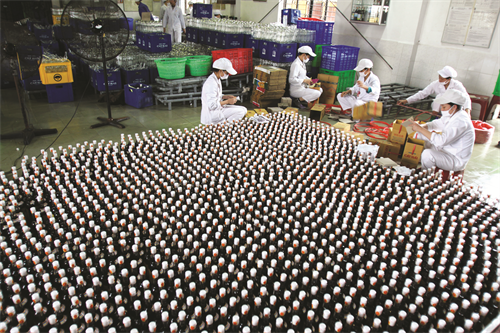 Một cơ sở sản xuất nước mắm ở Cát Bà