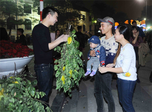 Một gia đình trẻ đi đón giao thừa ở hồ Hoàn Kiếm chọn mua những cành lộc lấy may mắn đầu năm. Ảnh: Minh Đức- TTXVN