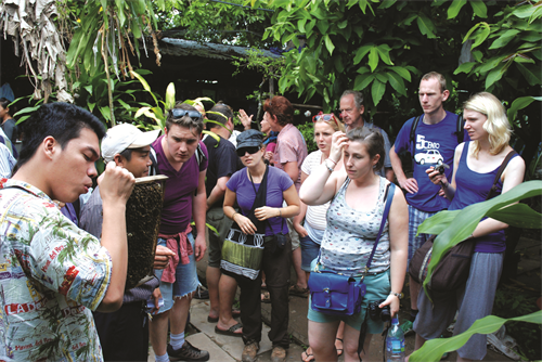 Du khác tham quan một điểm nuôi ong mật ở Tiền Giang