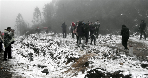 Rạng sáng 10/1/2015, tại các khu vực Thác Bạc, Trạm Tôn, huyện Sa Pa (Lào Cai) và đèo Ô Quy Hồ đã có tuyết rơi, có nơi dày tới hơn 10cm, thu hút rất đông khách du lịch đến tham quan. Ảnh: Công Hải- TTXVN