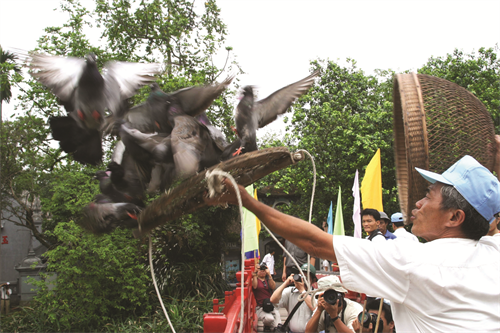 Thi thả chim bồ câu trên cầu Thê Húc