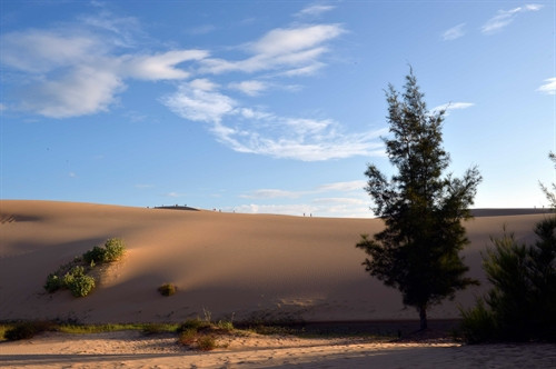 Hoàng hôn đang dần buông trên đồi cát Bàu Trắng Hoàng hôn đang dần buông trên đồi cát Bàu Trắng