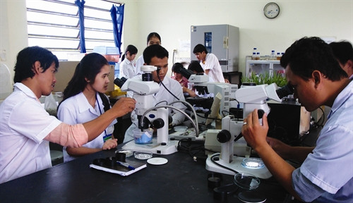 Kết hợp lý thuyết với thực hành giúp sinh viên nắm vững kiến thức khi ra trường. Ảnh: TTXVN Kết hợp lý thuyết với thực hành giúp sinh viên nắm vững kiến thức khi ra trường. Ảnh: TTXVN