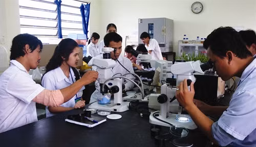 Kết hợp lý thuyết với thực hành giúp sinh viên nắm vững kiến thức khi ra trường. Ảnh: TTXVN