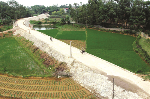 Đường giao thông nông thôn đã đươch bê tông hóa