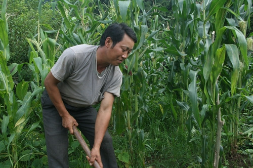 Trưởng bản Chang A Kỷ tích cực phát triển kinh tế để nâng cao đời sống cho gia đình