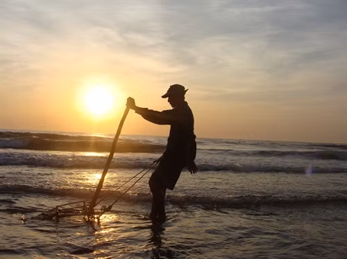 Mưu sinh dưới ánh bình minh