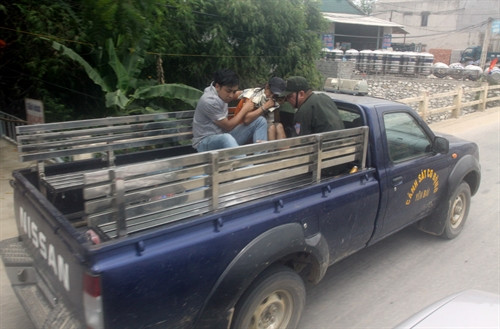 Lực lượng công an áp giải nghi can Đặng Văn Hùng về trụ sở công an . Ảnh: Thế Duyệt- TTXVN