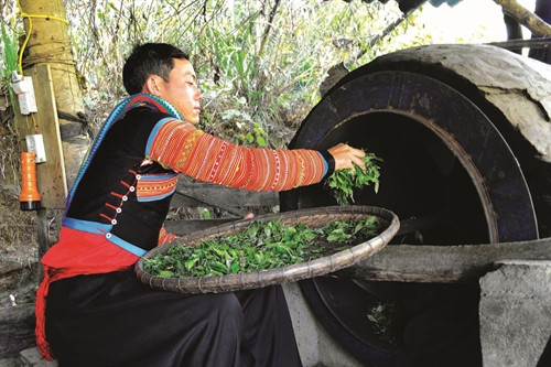 Ảnh minh họa- TTXVN Ảnh minh họa- TTXVN