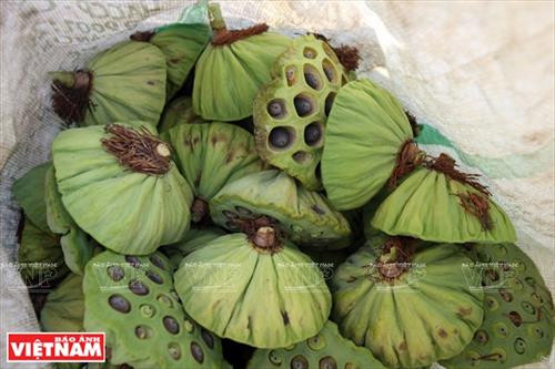 Chè sen - tinh túy ẩm thực Hà Nội ảnh 3