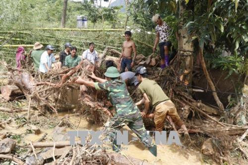 Lực lượng cứu hộ và người dân bản Tủ, xã Sơn Lương, huyện Văn Chấn đang đào bới cây cối và đất đá để tìm người mất tích. Ảnh: Việt Dũng - TTXVN Lực lượng cứu hộ và người dân bản Tủ, xã Sơn Lương, huyện Văn Chấn đang đào bới cây cối và đất đá để tìm người mất tích. Ảnh: Việt Dũng - TTXVN