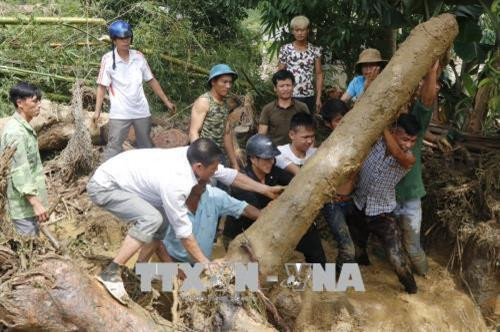 Lực lượng cứu hộ và người dân bản Tủ, xã Sơn Lương, huyện Văn Chấn đang di chuyển cây cối bị lũ cuốn để tìm người mất tích. Ảnh: Việt Dũng - TTXVN Lực lượng cứu hộ và người dân bản Tủ, xã Sơn Lương, huyện Văn Chấn đang di chuyển cây cối bị lũ cuốn để tìm người mất tích. Ảnh: Việt Dũng - TTXVN