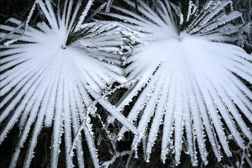 Chùm ảnh phong cảnh tuyết rơi tại Trung Quốc ảnh 8 Chùm ảnh phong cảnh tuyết rơi tại Trung Quốc ảnh 8