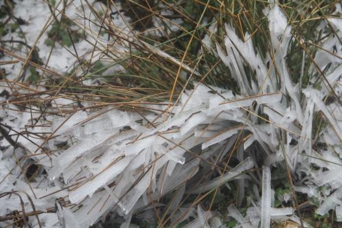 Băng giá trên đỉnh Trống Páo Sang, xã La Pán Tẩn, huyện Mù Cang Chải (Yên Bái). Ảnh: Đỗ Tuấn Anh - TTXVN Băng giá trên đỉnh Trống Páo Sang, xã La Pán Tẩn, huyện Mù Cang Chải (Yên Bái). Ảnh: Đỗ Tuấn Anh - TTXVN