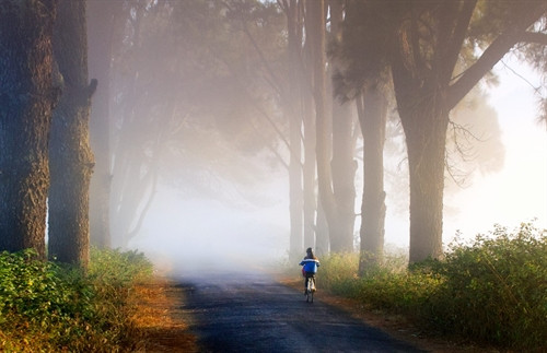 Phố núi Pleiku đẹp "ma mị" dưới ống kính của nhiếp ảnh gia 8x ảnh 12