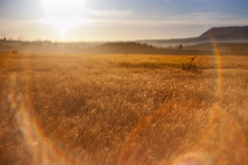 Phố núi Pleiku đẹp "ma mị" dưới ống kính của nhiếp ảnh gia 8x ảnh 9