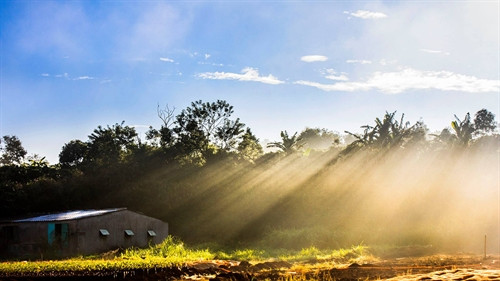 Phố núi Pleiku đẹp "ma mị" dưới ống kính của nhiếp ảnh gia 8x ảnh 4