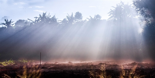 Phố núi Pleiku đẹp "ma mị" dưới ống kính của nhiếp ảnh gia 8x ảnh 3