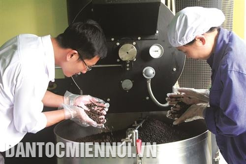 Các tỉnh Tây Nguyên đang tăng cường đầu tư kỹ thuật, công nghệ vào chế biến cà phê. Ảnh: Phạm Cường