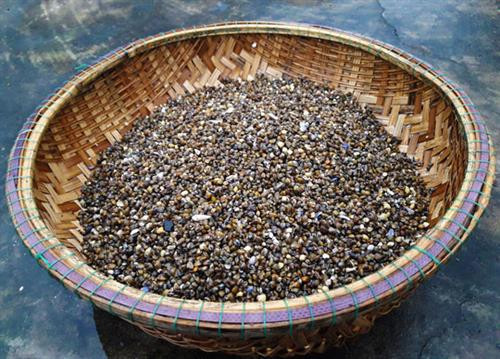 Bún chắt chắt – Món dân dã nhưng ngon "đã đời" ảnh 1