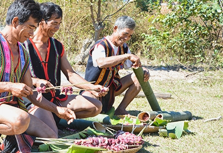 Đàn ông ở làng đồng bào DTTS chế biến món thịt nướng ống lồ ô Đàn ông ở làng đồng bào DTTS chế biến món thịt nướng ống lồ ô