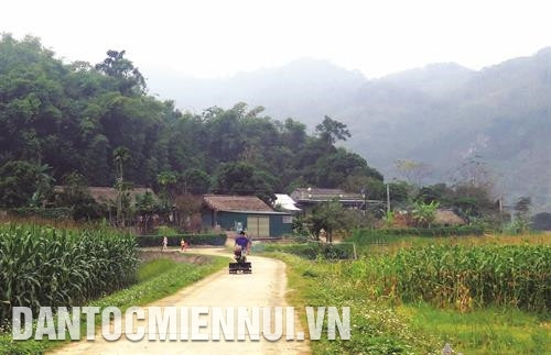 Thoát nghèo được từ rừng, đồng bào dân tộc sinh sống trên địa bàn huyện Yên Sơn đã tích cực phủ xanh đất trống.