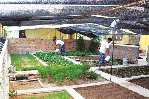 Chiến sĩ trên đảo Sinh Tồn chăm sóc vườn rau Chiến sĩ trên đảo Sinh Tồn chăm sóc vườn rau