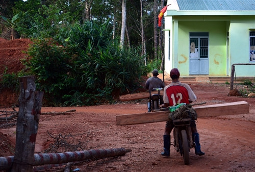 Xe chở gỗ lậu ngang nhiên qua Trạm quản lý bảo vệ rừng của Công ty TNHH Một thành viên Lâm nghiệp Đăk Glei Xe chở gỗ lậu ngang nhiên qua Trạm quản lý bảo vệ rừng của Công ty TNHH Một thành viên Lâm nghiệp Đăk Glei