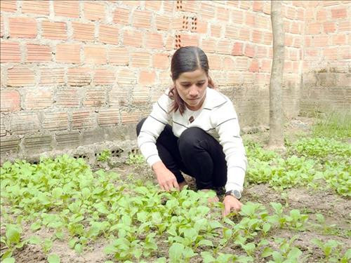 Chị Y Byenh- hộ gia đình tự nguyên xin được... thoát nghèo. Ảnh: Quang Thái- TTXVN