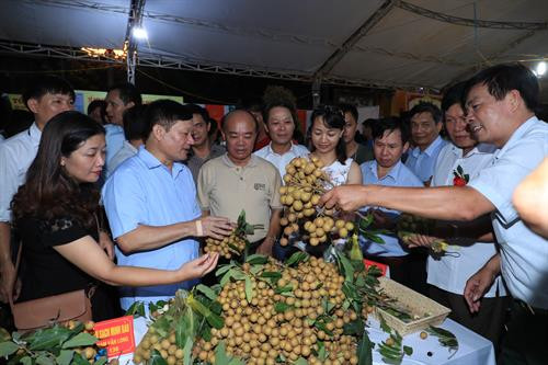 Khách tham quan các gian hàng trưng bày nhãn lồng Hưng Yên.