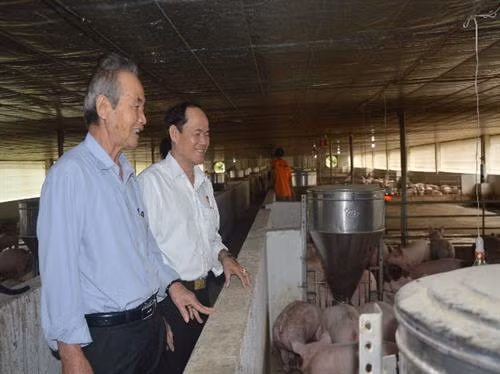 Mô hình chăn nuôi heo, gà là bước đi khởi nghiệp để ông Thành có được cơ ngơi như ngày hôm nay. Ảnh: danviet.vn