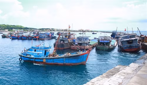 Âu tàu đảo Bạch Long Vĩ có sức chứa hơn 1000 tàu thuyền vào neo đậu