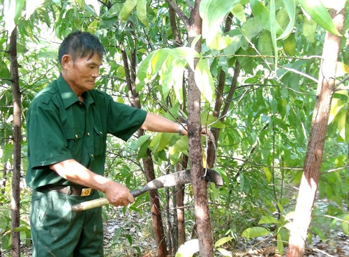 Thương binh Nguyễn Quang Don luôn thực hiện tốt lời dạy của Bác Hồ "Thương bình tàn nhưng không phế" Thương binh Nguyễn Quang Don luôn thực hiện tốt lời dạy của Bác Hồ "Thương bình tàn nhưng không phế"