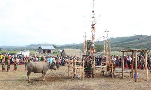 Đâm trâu để tế thần trong lễ Sum họp. Đâm trâu để tế thần trong lễ Sum họp.