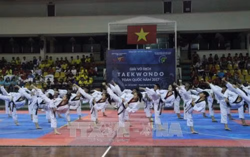 Trình diễn võ nhạc Taekwondo tại lễ khai mạc. Ảnh: Xuân Dự - TTXVN