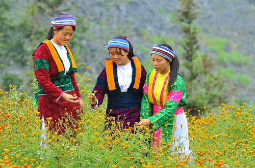 Những bộ trang phục rực rỡ của người Mông bằng vải lanh như điểm nhấn trên cao nguyên đá và trở thành biểu tượng cho sự dẻo dai, cần cù và khéo léo nơi đây.