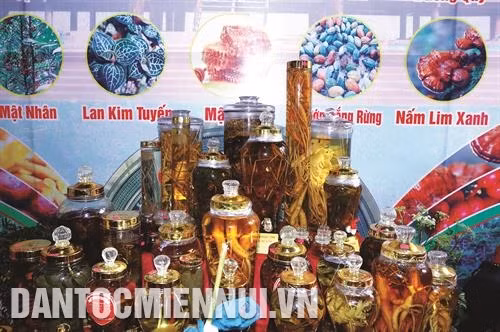 Các sản phẩm sâm Ngọc Linh được trưng bày bên lề Hội nghị đầu tư phát triển sâm Ngọc Linh Kon Tum và các dược liệu khác, tổ chức tại tỉnh Kon Tum ngày 6/9/2018. Ảnh: Quang Thái